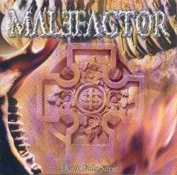 Malefactor (USA) : Death Falls Silent